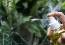 Households urged to put vinegar in garden in December