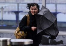 Met Office issues new warning with blackout alert as UK faces 90mph Storm Bram battering