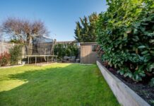 UK households urged to leave biscuits in the garden