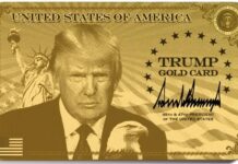 New ‘Trump Gold Card’ will give our millionaires a new route to flee Labour’s Britain