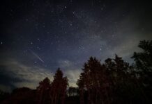 4 Christmas-themed constellations can be seen in the sky this weekend